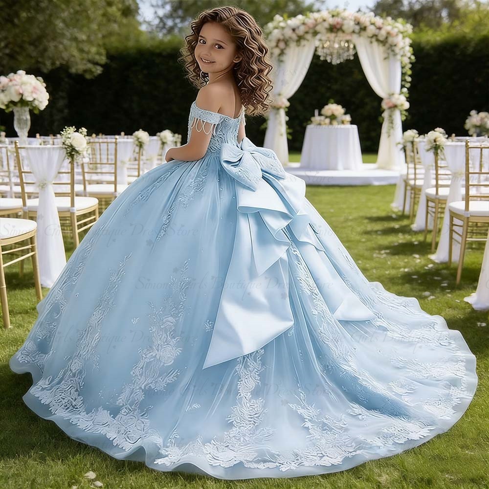 Prinsessenjurk met sleep, heme - Bridal Sash Ribbon recensie en prijs