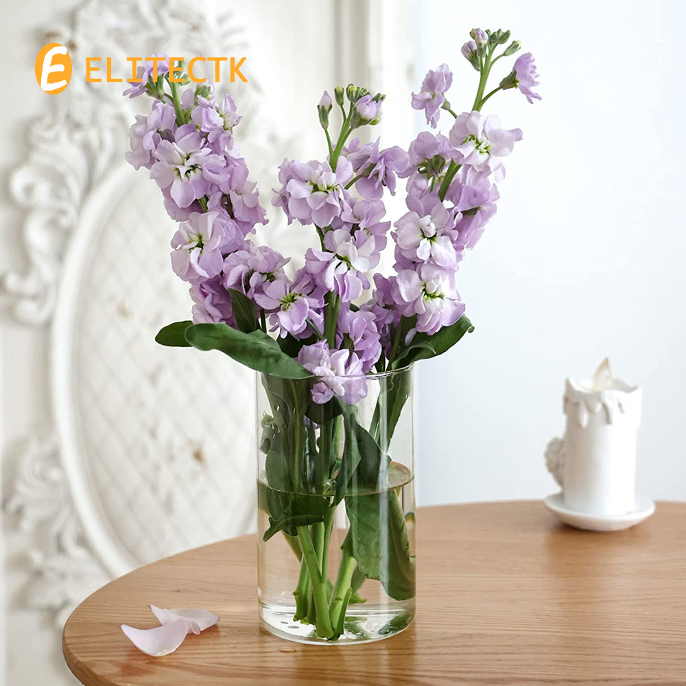 Glazen Cilinder Vaas Orkaan Ka - Centerpiece Vase Tall recensie en prijs